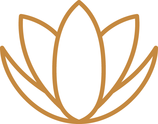 About Sculpture Healthcare